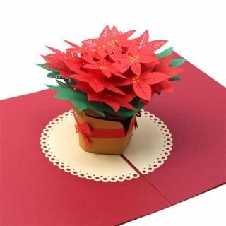 <img class='new_mark_img1' src='https://img.shop-pro.jp/img/new/icons5.gif' style='border:none;display:inline;margin:0px;padding:0px;width:auto;' />ݥåץåץ ꥹޥ ץߥࡡPoinsettia