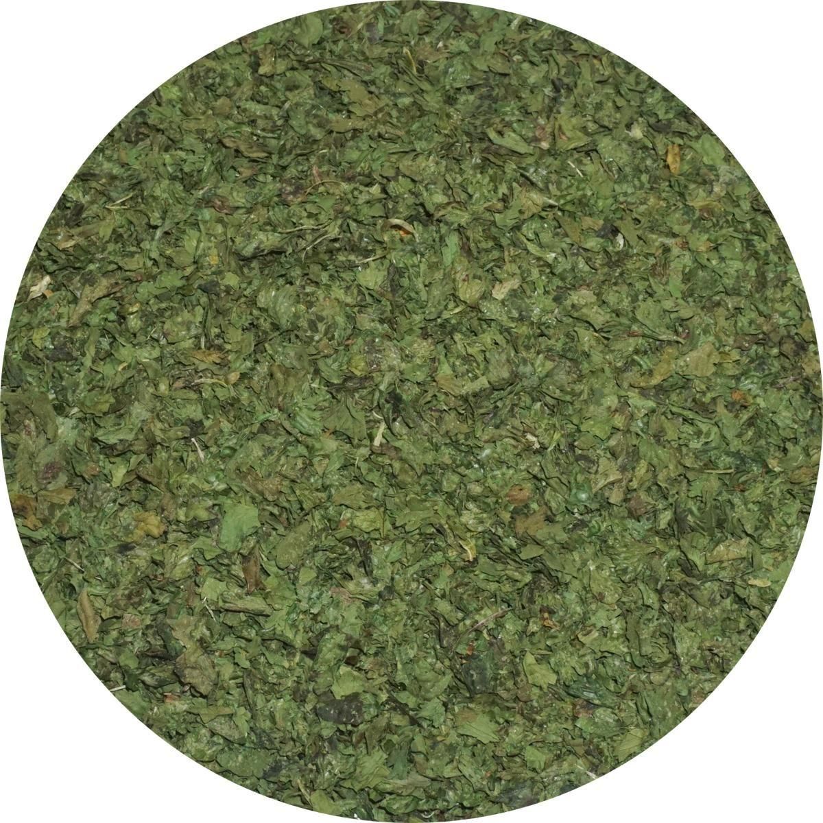 ���ꥢ������꡼�� 20g ���Უ ���Ų� ���ꥢ����� �ϡ��֥ƥ��� �ϡ��� coriander �����ȥ� ���˥� ��� �ѥ����� ������ɥ� 