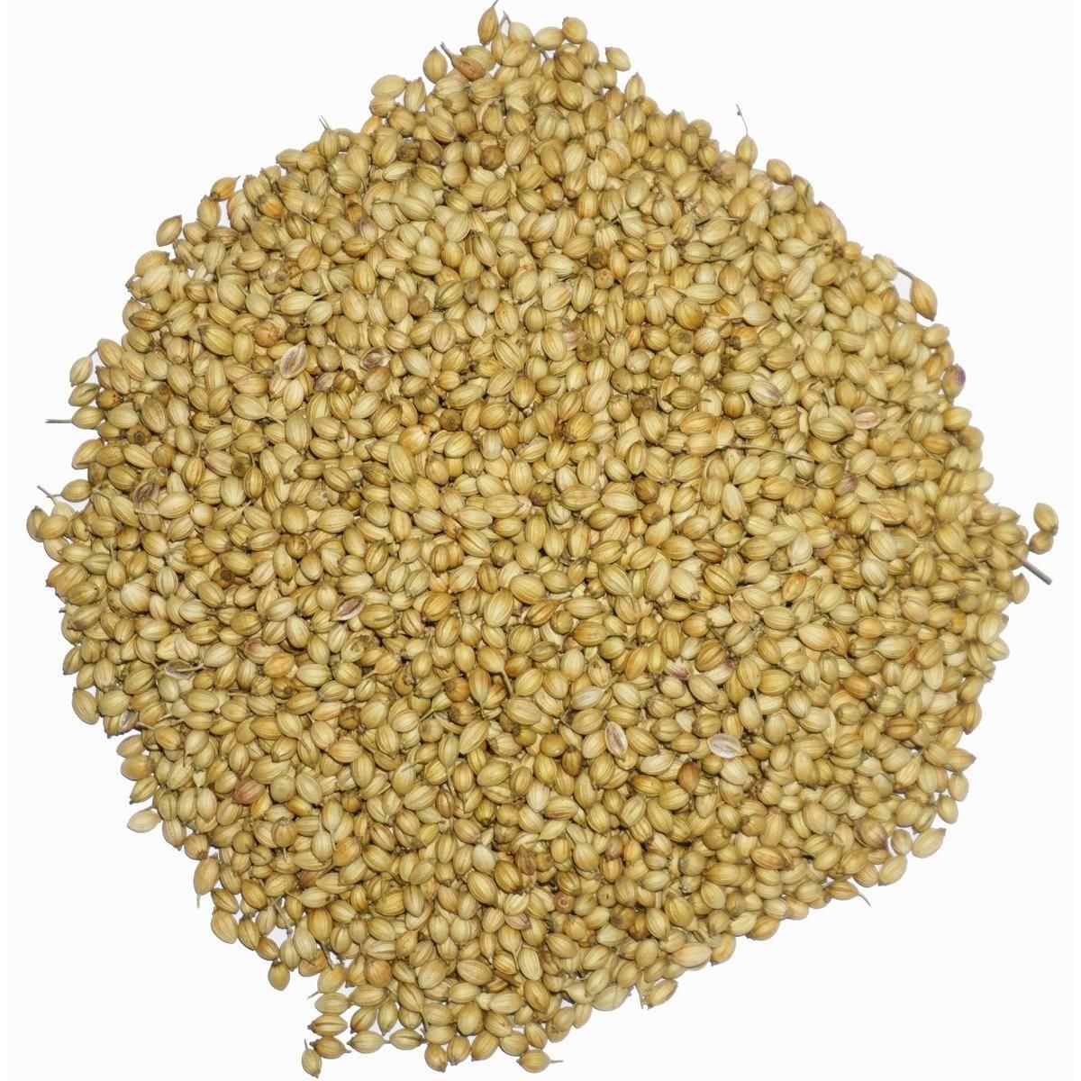 ꡼󥳥ꥢ 1kg Უ Ų ̳ ꥢ ϡ֥ƥ ϡ coriander ȥ ˥  ѥ ɥ