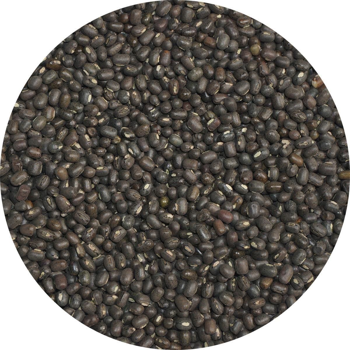 ɥۡ 500g ɥۡ ֥åޥå ޥå ֥֥ӡ ̢Ʀ ĥ륢  Ʀ ӡ 