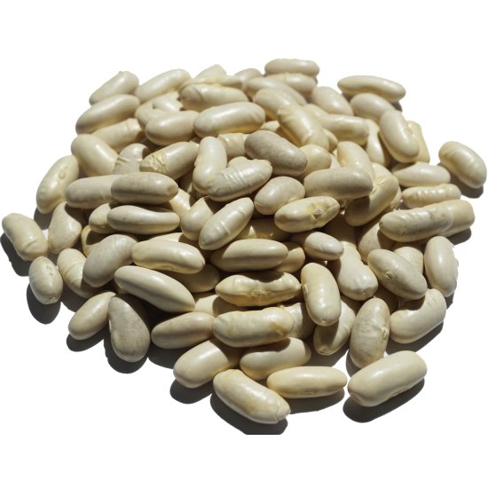 ホワイト ビーンズ 1kg white pea bean インゲンマメ 豆 まめ ホワイトビーンズ 白豆 white pea bean アメ横 大津屋  - アメ横大津屋スパイス・豆の専門店