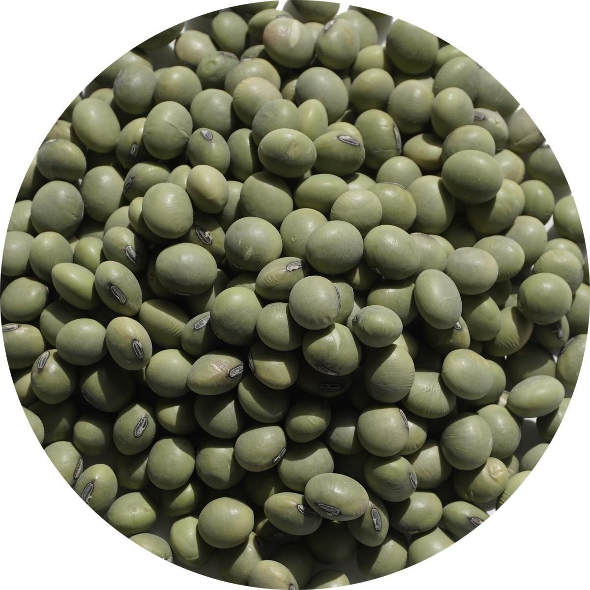 ҤƦ 500g Ʀ ҤƦ Უ Ų ߥ䥮 Ʀ Хޥ soybean   Ʀ 