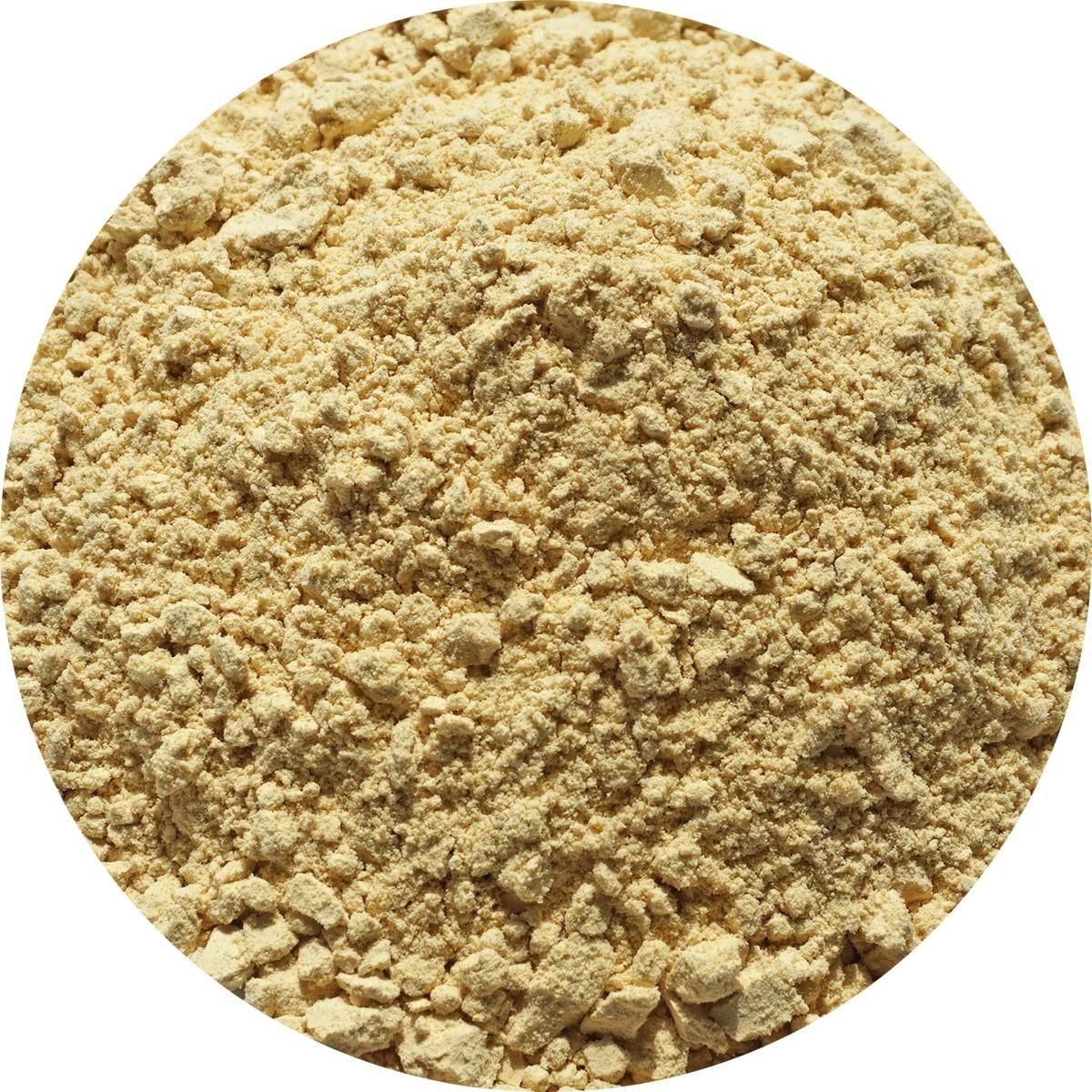 󥸥㡼ѥ 100g 󥸥㡼 ϡ֥ƥ ϡ 祦 ժ ժʴ ginger 祦ʴ 祦ѥ ժѥ