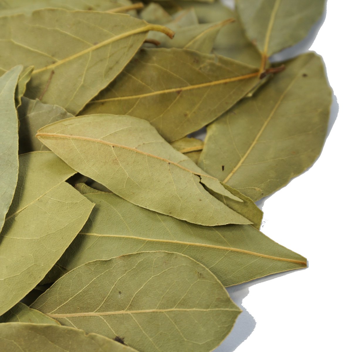 ローレル ベイリーフ ローリエ 50g 月桂樹 ロリエ ローリエ laurel laurier ゲッケイジュ bay leaf bay leaves  ベイリーフ ベイリーブズ - アメ横大津屋スパイス・豆の専門店