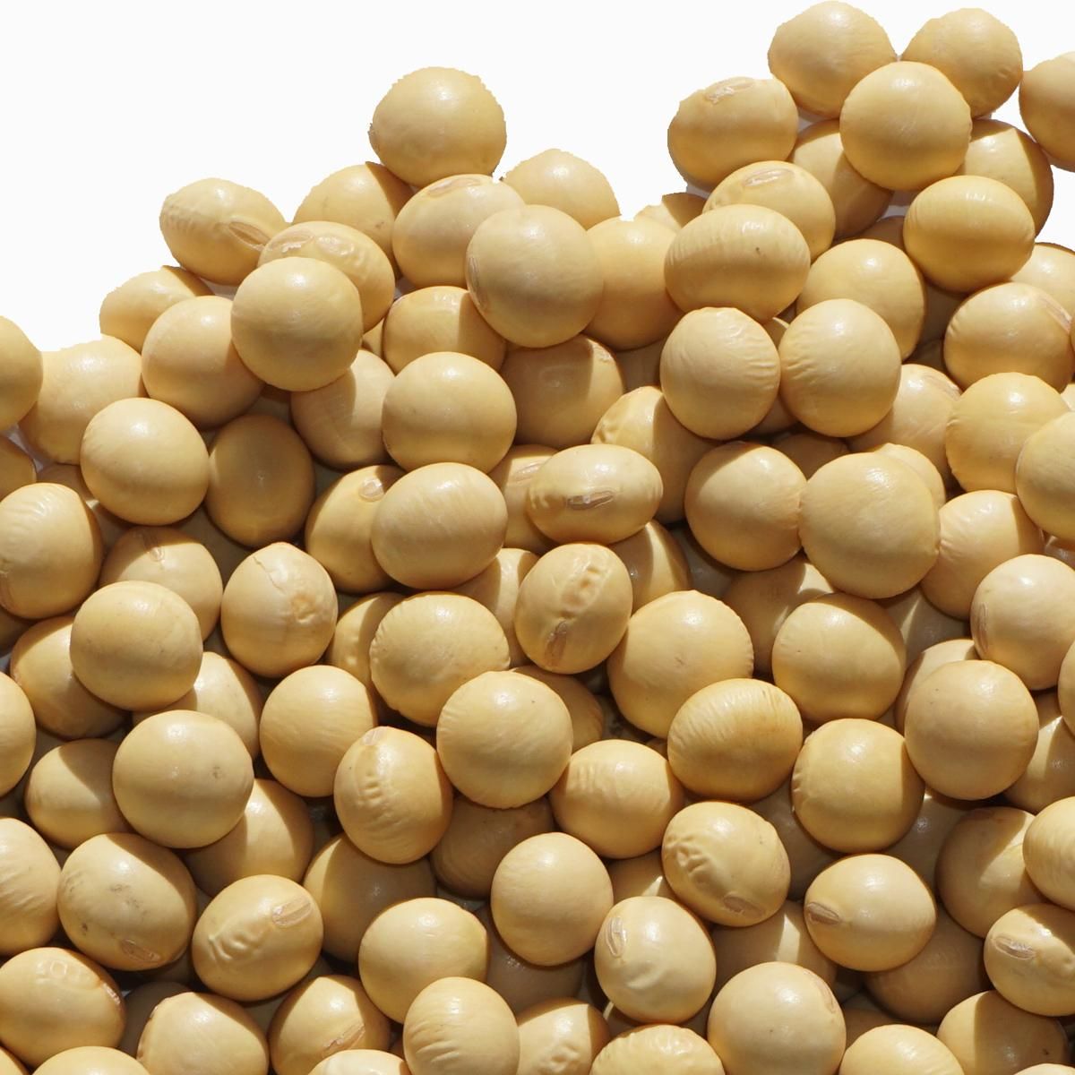 北海道産 大豆 2.8分玉 1kg 8.4mm玉 アメ横 大津屋 soybean