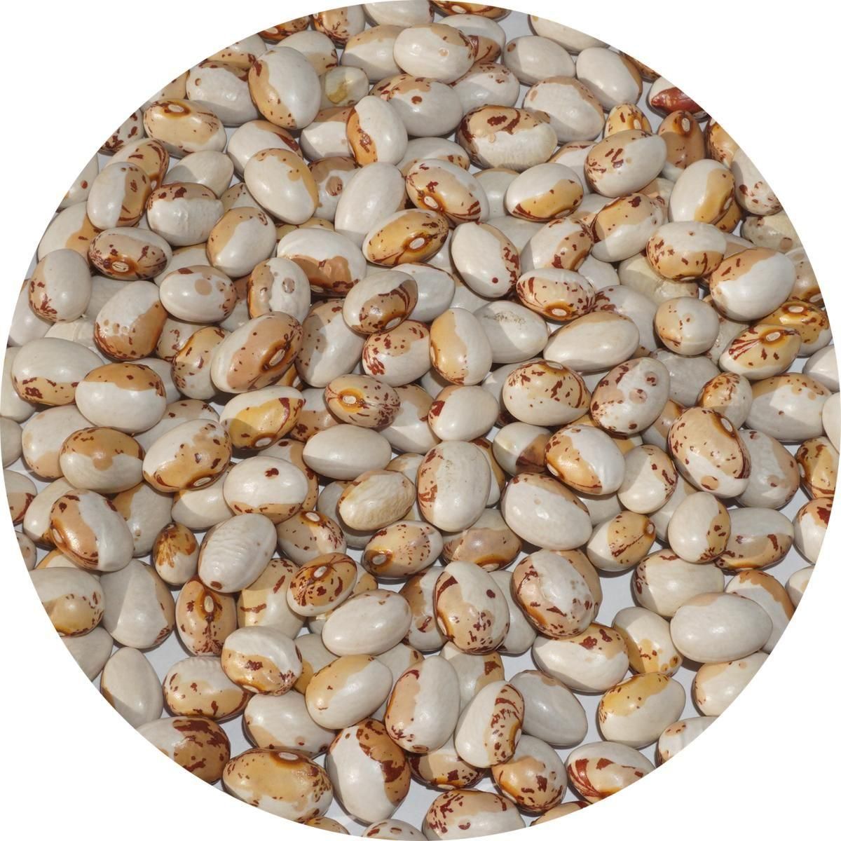 �̳�ƻ�� ��Ʀ 300g ���Უ ���Ų� �Ȥ�Ʀ ����Ʀ �� ���󥲥� ���Ť� ��Ʀ ����Ʀ