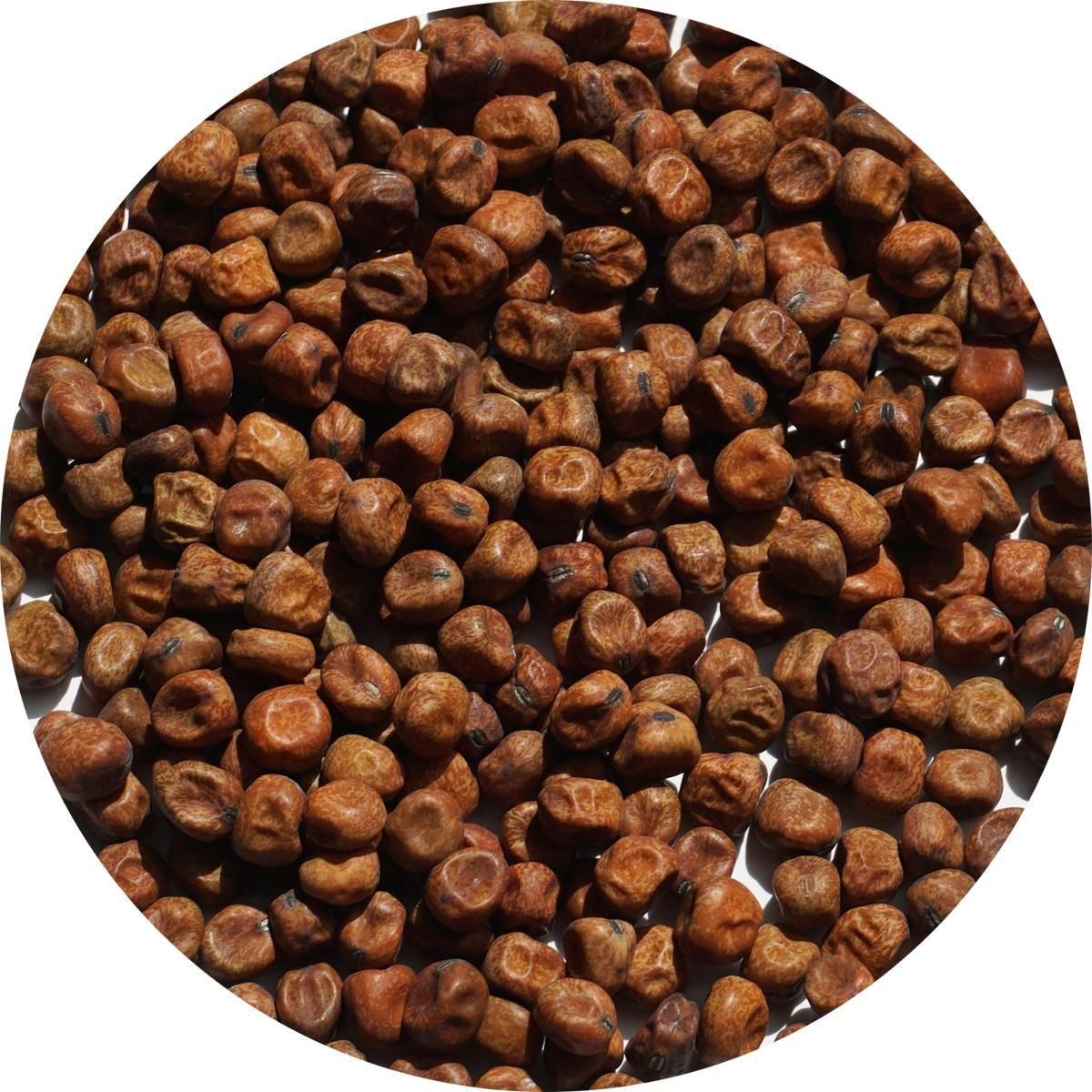 赤えんどう豆 北海道産 赤えんどう 500g 赤えんどう豆 エンソウ エンドウ豆