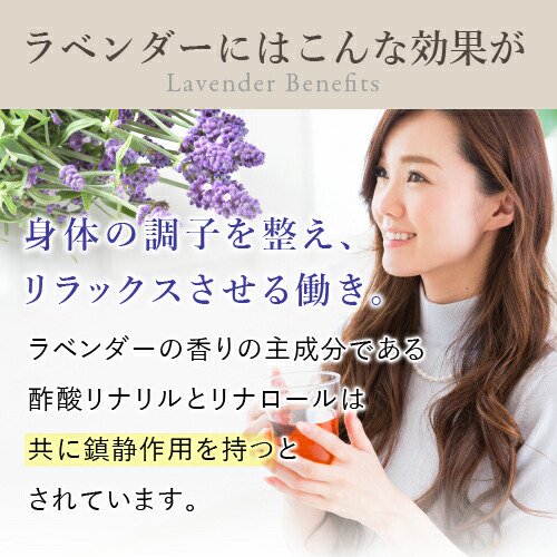 ラベンダー フラワー 500g アメ横 大津屋 スパイス ドライ ハーブ ティー ポプリ lavender lavandula らべんだー -  アメ横大津屋スパイス・豆の専門店