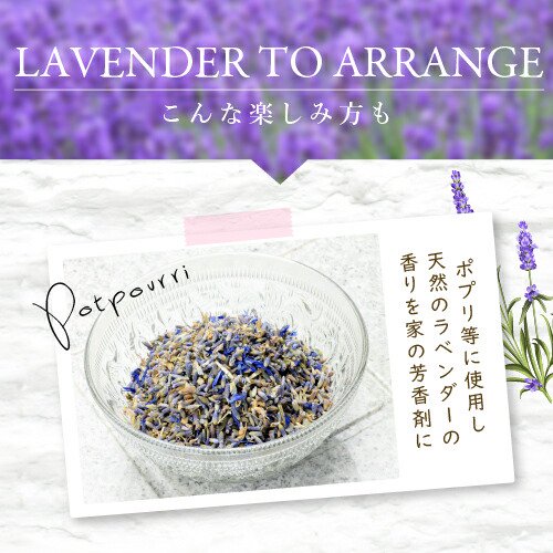 ラベンダー フラワー 500g アメ横 大津屋 スパイス ドライ ハーブ ティー ポプリ lavender lavandula らべんだー -  アメ横大津屋スパイス・豆の専門店