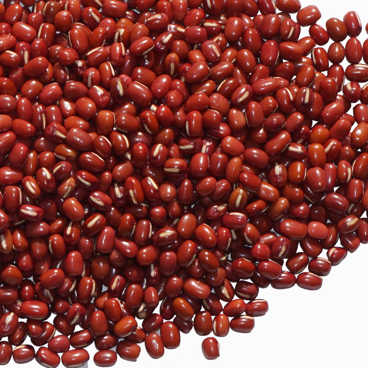小豆 5kg 2023年 北海道産 業務用パック 爆安プライス - 乾燥豆類