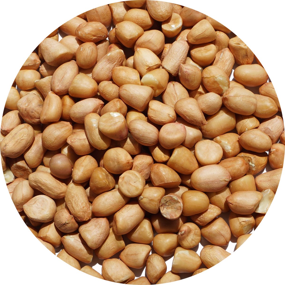 ɥ饤 ԡʥå γ 1kg Ĥ    peanut groundnut Ʀ ʥ󥭥ޥ å