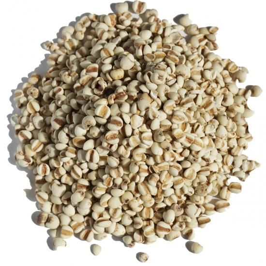 ϤȤम 1kg ȷ ϥȥ८ job's tears adlay 褯ˤ 襯˥ &#34191; Ϥ ϥ   äλ򽭤νޤ