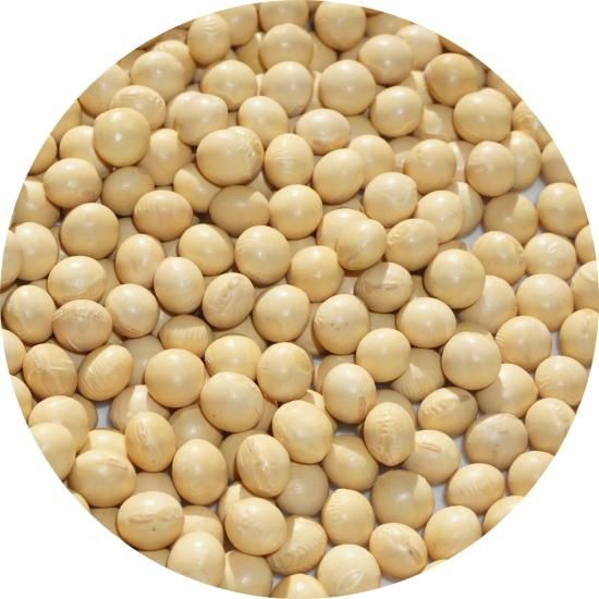 大豆の大豆 北海道産 大豆 1kg 2.6分玉 7.8mm玉 アメ横 大津屋 soybean