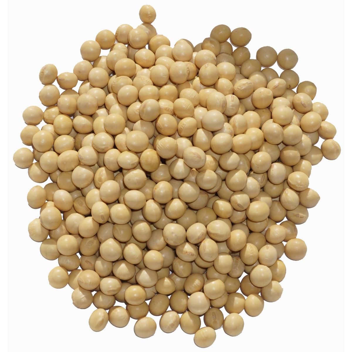 大豆 北海道産 大豆 1kg 2.6分玉 7.8mm玉 アメ横 大津屋 soybean