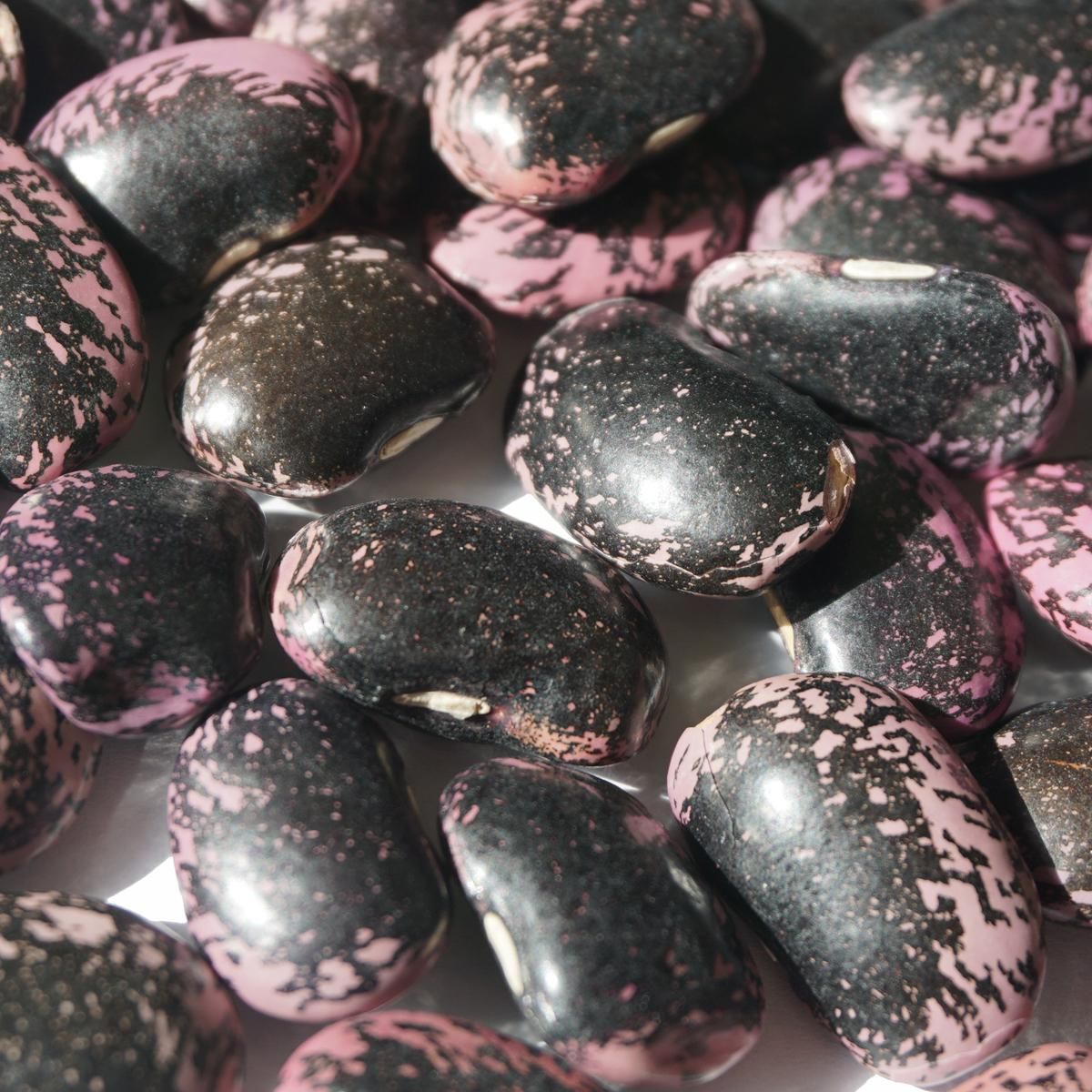 紫花豆、白花豆、とら豆(きんぱなです) 北海道産 紫高原花豆 高原花豆 300g 大黒花芸豆 紫花豆 花豆