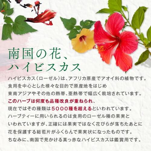 ハイビスカス 500g hibiscus ハイビスカスティーローゼル はいび