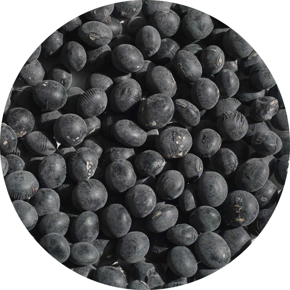 츩 ṾƦ 1kg Ʀ ĳŹ ѥå Ṿ Ʀ Უ Ų ޤ ޥ