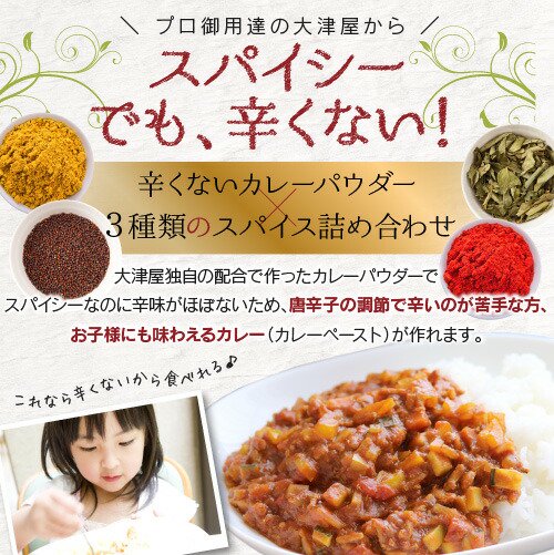 マイルドカレー スパイスセット レシピ付き（メール便配送でお送りする