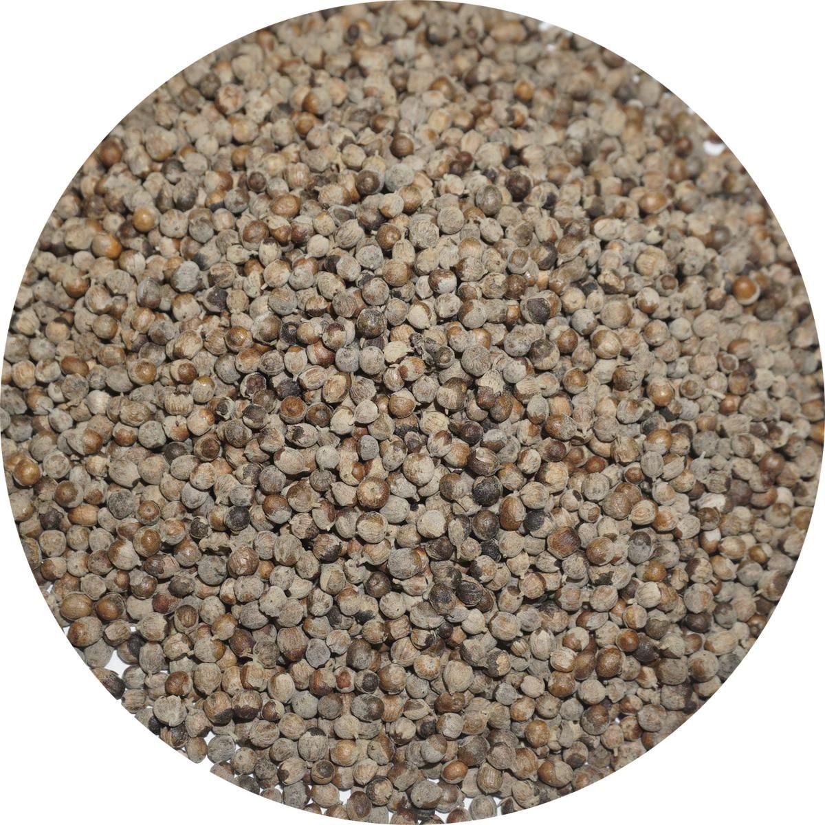 ȥĥ꡼ 500g ȥ٥꡼ chastetree chasteberry 襦˥󥸥ܥ