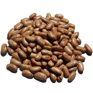 ԥȥӡ 500g 饸 åȥ֥ ԥ ӡ ԥƦ pinto bean common bean 󥲥Ʀ 󥲥