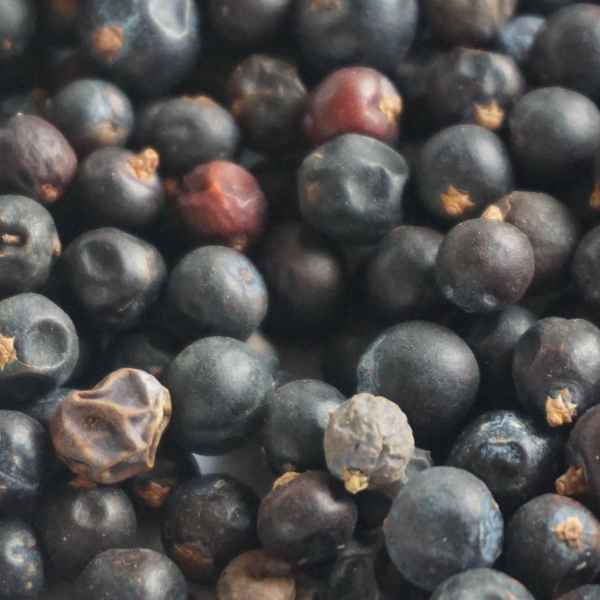 ジュニパーベリー ジュニパーベリーKK 50g ジュニパー ベリー juniper berry じゅ