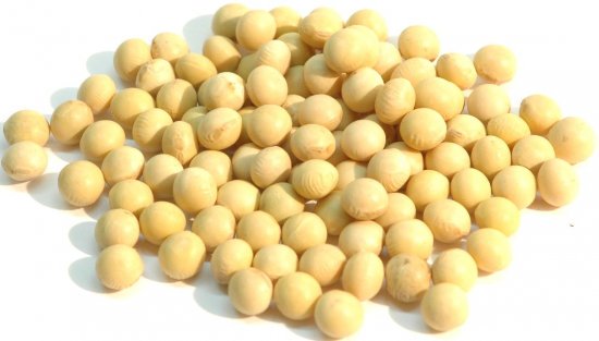 カナダ産 大豆 1kg アメ横 大津屋 soybean ダイズ だいず 豆 輸入豆