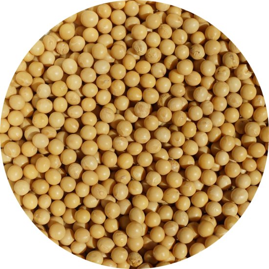 ̳ƻ Ʀ ˾γ  1kg 3mm 4mm Უ Ų soybean   ̳ƻ γ