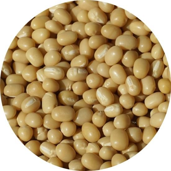 北海道 白小豆 1kg アメ横 大津屋 白 小豆 豆 azuki bean アズキ
