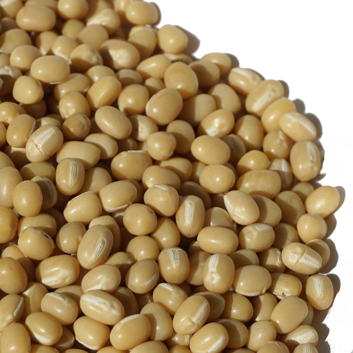 小豆(あずき) 北海道産 5キロ - 米・雑穀・粉類