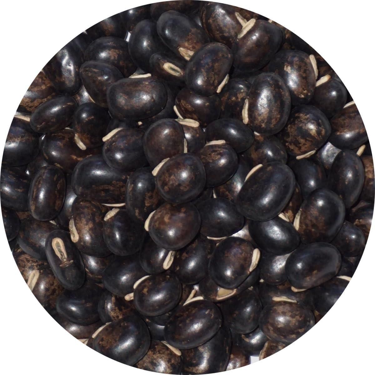 農薬不使用 黒ムクナ豆 10kg 000000000045_9sJ714g.jpg