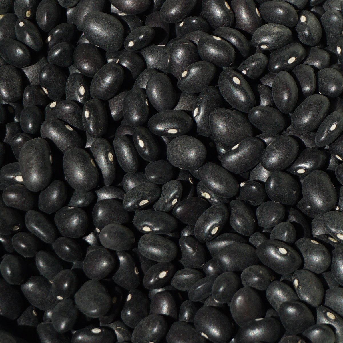 黒インゲン豆 500g black bean 豆 いんげん豆 フェイジャオン フェイジョン フェジョン プレット インゲンマメ black  turtle bean インゲン豆 ブラック ビーン - アメ横大津屋スパイス・豆の専門店