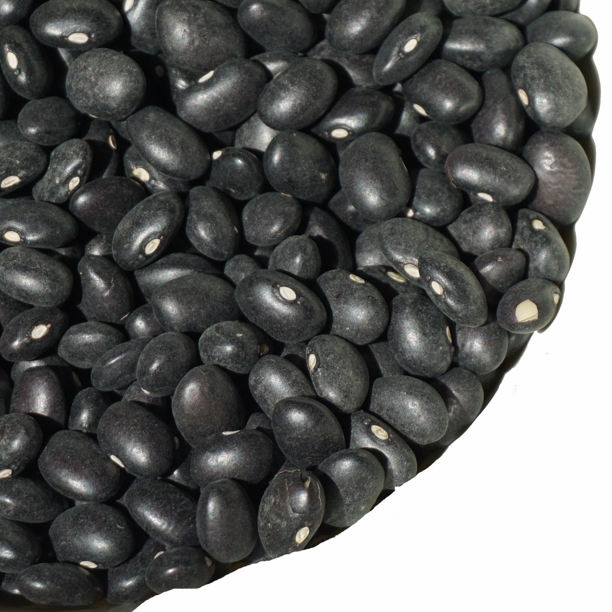 黒インゲン豆 500g black bean 豆 いんげん豆 フェイジャオン フェイジョン フェジョン プレット インゲンマメ black  turtle bean インゲン豆 ブラック ビーン - アメ横大津屋スパイス・豆の専門店