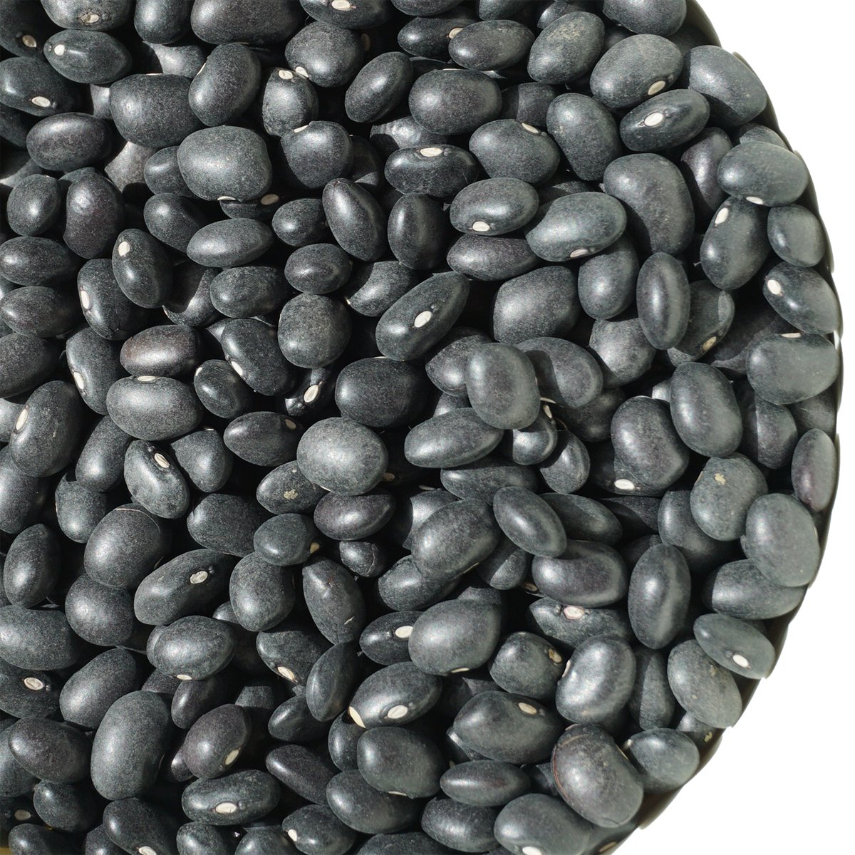 黒インゲン豆 500g black bean 豆 いんげん豆 フェイジャオン フェイジョン フェジョン プレット インゲンマメ black  turtle bean インゲン豆 ブラック ビーン - アメ横大津屋スパイス・豆の専門店