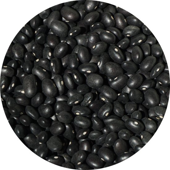 黒インゲン豆 1kg black bean 豆 いんげん豆 フェイジャオン フェイジョン フェジョン プレット インゲンマメ black turtle bean インゲン豆 ブラック ビーン