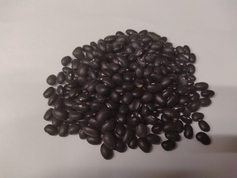 黒インゲン豆 1kg black bean 豆 いんげん豆 フェイジャオン フェイジョン フェジョン プレット インゲンマメ black turtle bean インゲン豆 ブラック ビーン