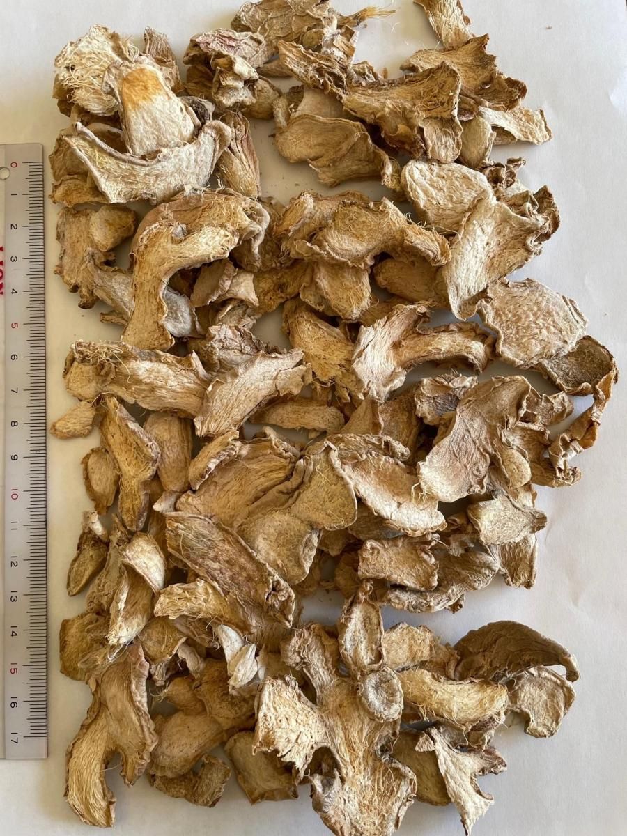 ͭJAS 󥸥㡼 å 饤 15kg ٥ȥʥ໺ ˥å в٤ޤ5ɬ Х륯 ̤ Უ Ų 󥸥㡼 ϡ֥ƥ ϡ 祦 ժ ginger
