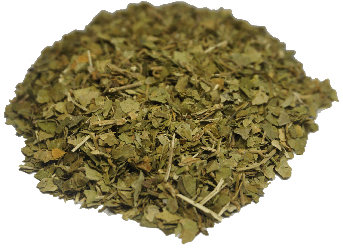 ͥ 50g ٥ ۥ饤 gymnema sylvestre