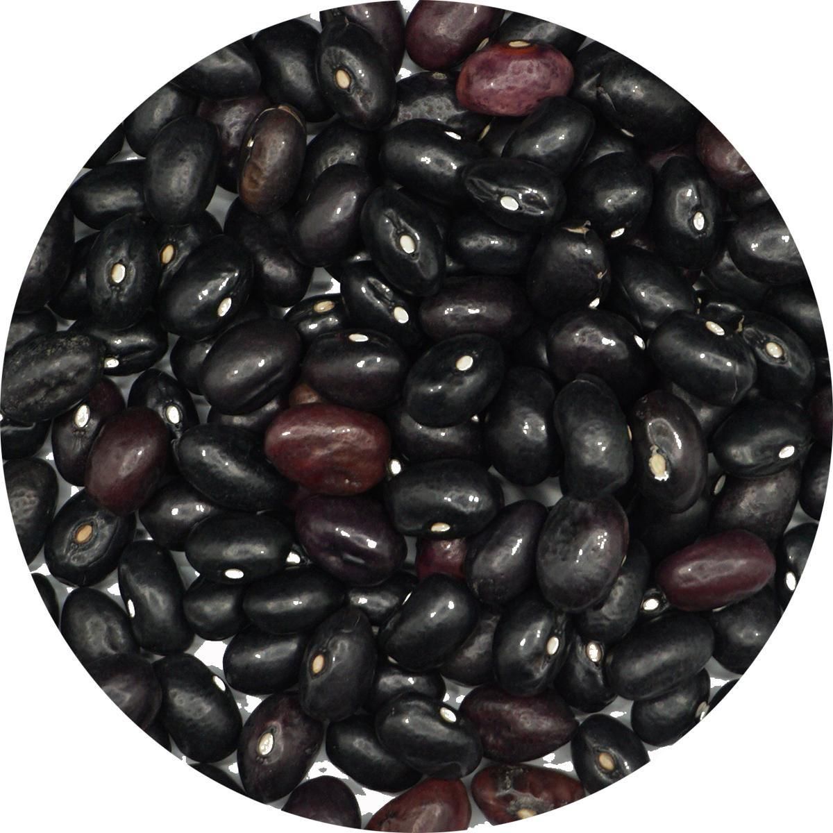 ̳ƻ Ʀ 300g Ʀ ޤ Უ Ų ޤ 󥲥Ʀ 󤲤Ʀ runner bean  Ʀ 󥲥 󥲥ޥ