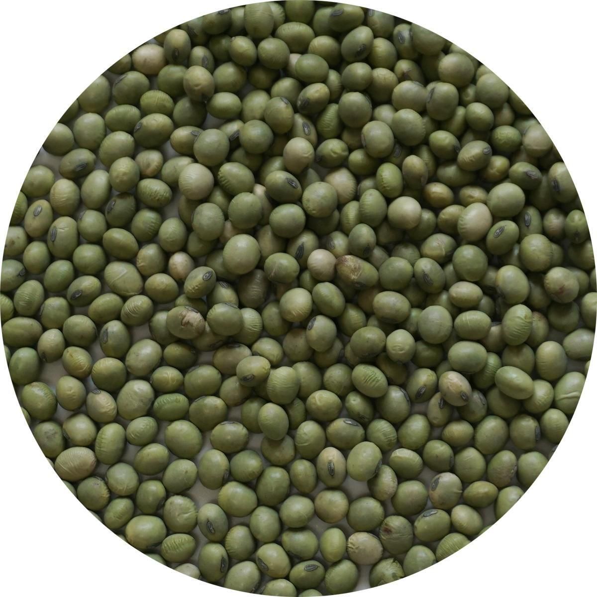 芝霧豆 500g 青大豆 しばきり豆 green soybean 長野県産