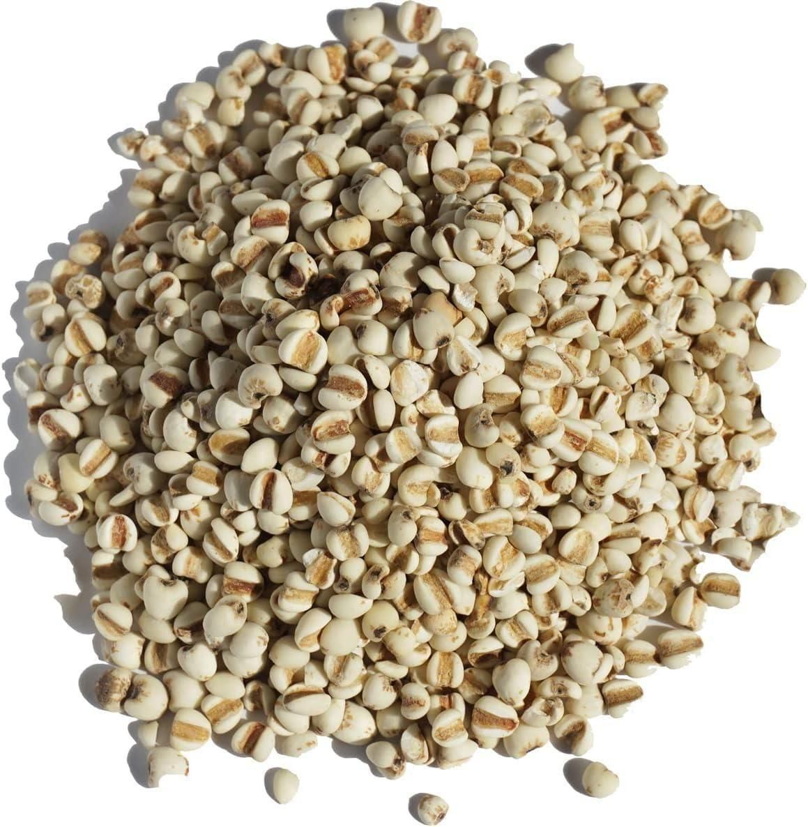 ϤȤम  20kg ȷ ϥȥ८ job's tears adlay 褯ˤ 襯˥  Ϥ ϥ   