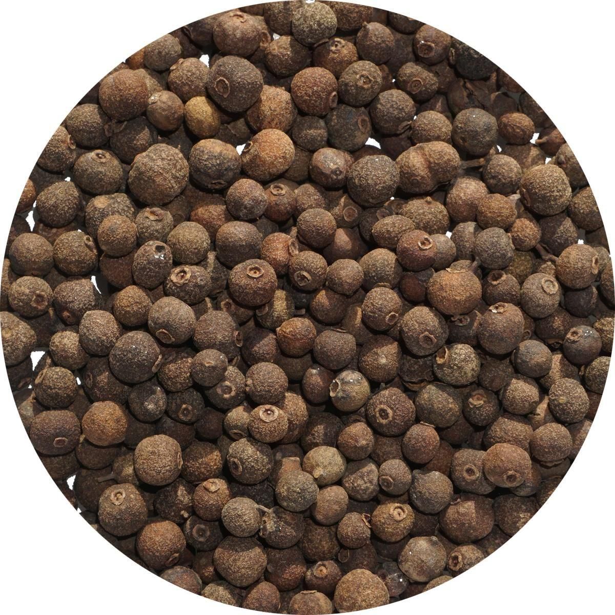 �����륹�ѥ������� 25kg ���ѥ��� �ɥ饤�ϡ��� �ƥ��� �ݥץ� ��ۡ��� allspice ɴ�ܸ�ܥ �����