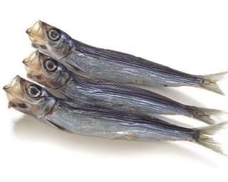 ڴպ̲ʡۤݴ6ǯ6ǯ礭1ѥå250