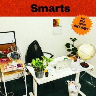 Smarts / Who Needs Smarts Anywayڿ LP