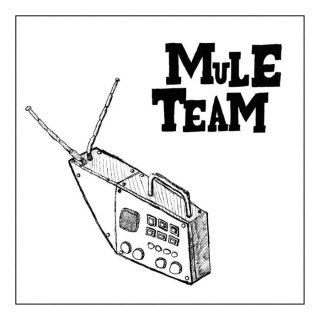 Mule Team / 2ndڿ 7"