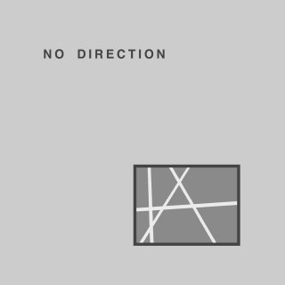 No Direction - S/Tڿ LP