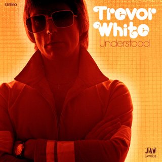 Trevor White / Understoodڿ 7"