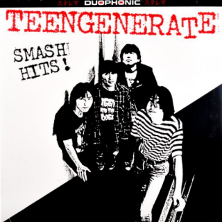 Teengenerate / Smash Hits !【新品 LP】