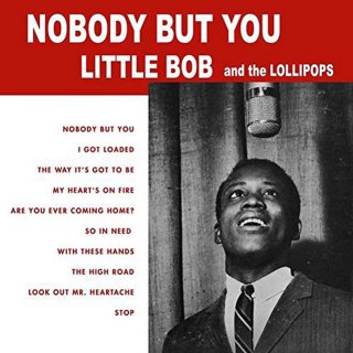 Little Bob And The Lollipops / Nobody But You【新品 LP】