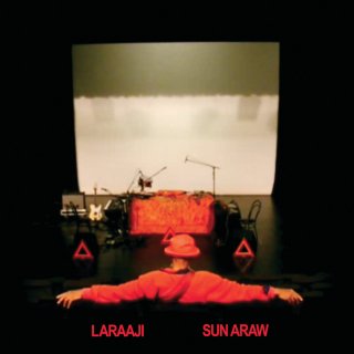 Laraaji & Sun Araw / Professional Sunflow【新品 LP】