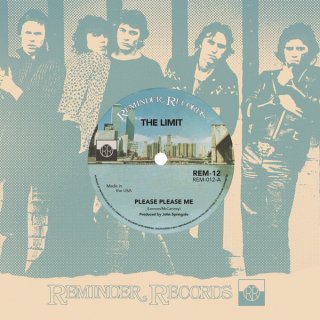The Limit - My World At Night / Please Please Meڿ 7"